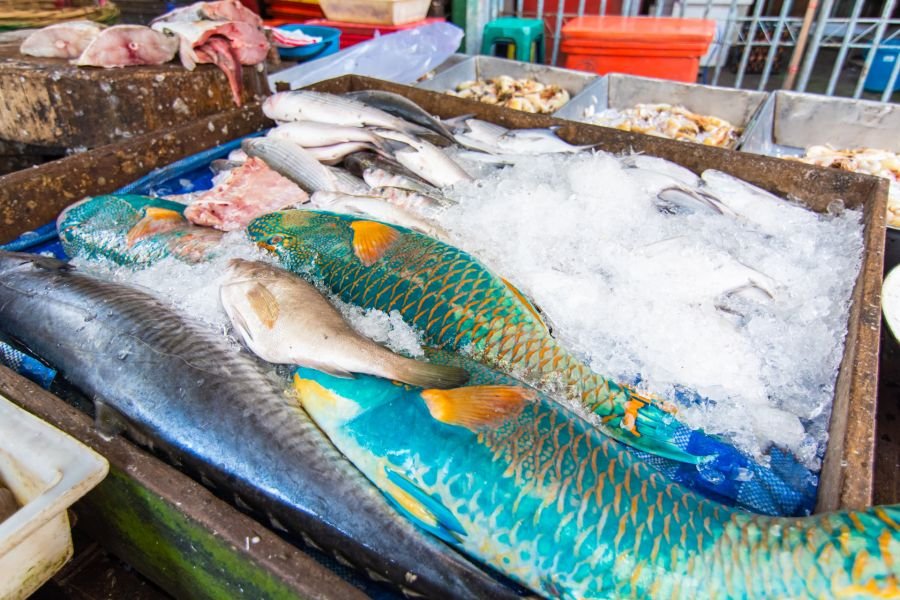 poissons proche soi yaowarat 6 chinatown bangkok