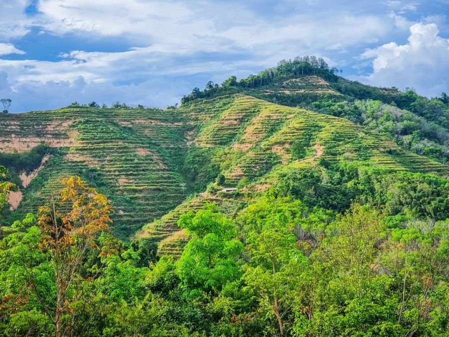 anciennes plantations visible depuis ao tho li viewpoint phang nga thailande