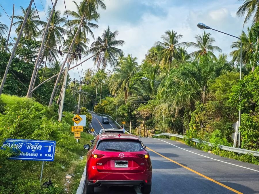 arret sur bord de route entre sichon et khanom nakhon si thammarat