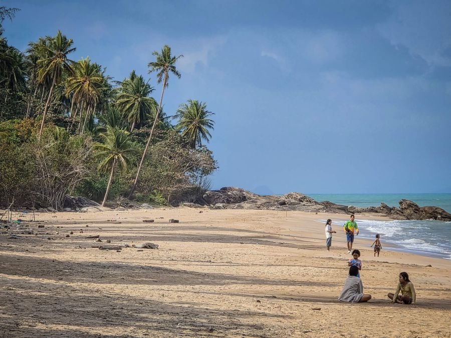 cocotiers sur ao thong yang aka phlai dam beach khanom thailande