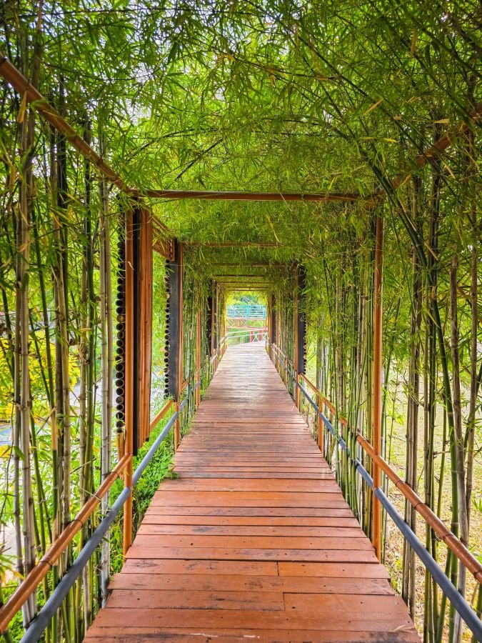 passage sous bambous au naern thae wada viewpoint khanom