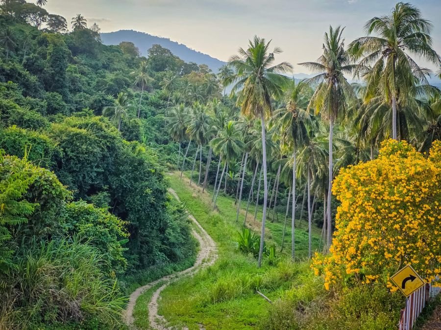 paysage autour du naern thae wada viewpoint khanom
