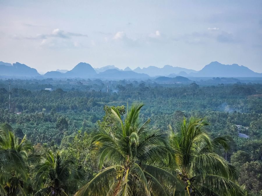 paysage de khanom province de nakhon si thammarat