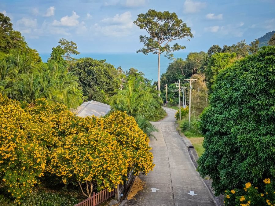 route menant au naern thae wada viewpoint khanom