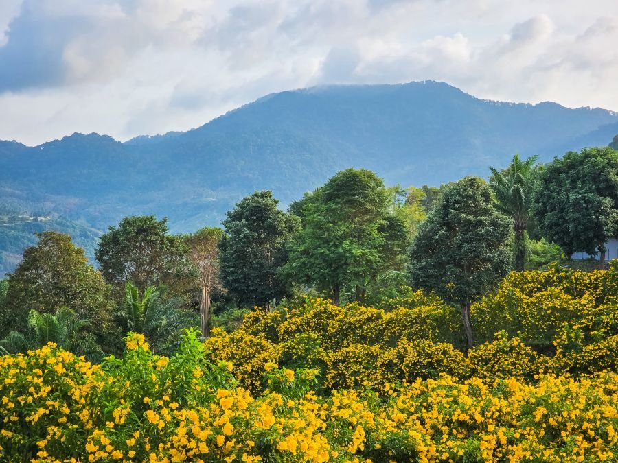 vue sur la montagne depuis naern thae wada viewpoint khanom