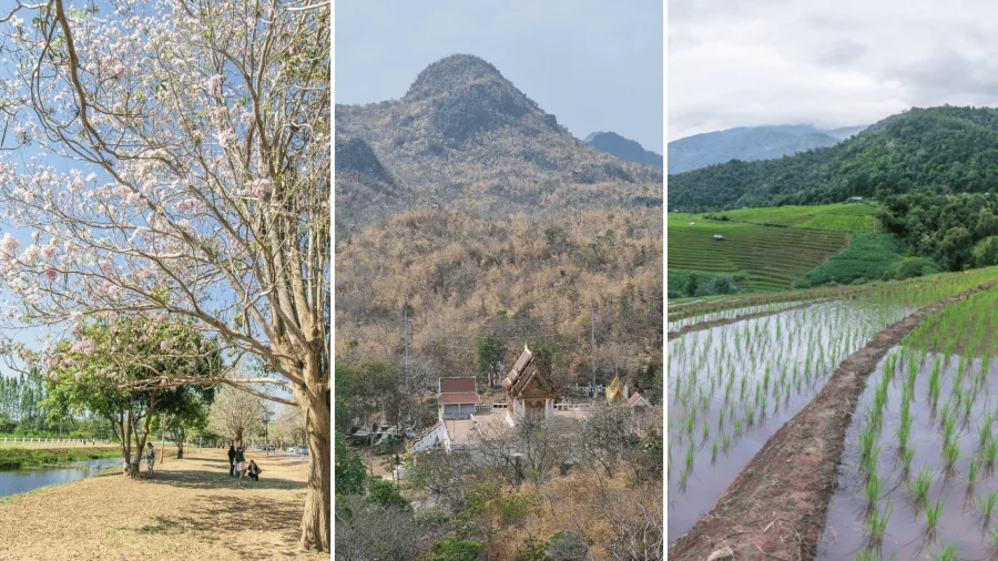 montage 3 saisons en thailande