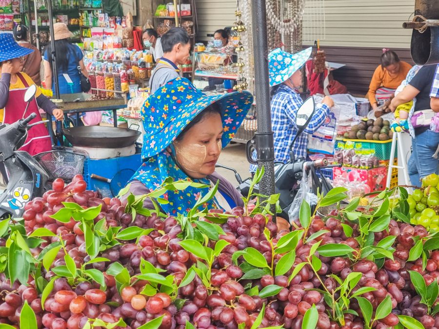 vendeuse de fruits rue de mae sai thailande
